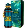 Mandarine Sultane by The Collector for Women EDP 100mL