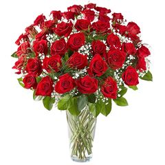 Bunch of 50 Scarlet Red Roses