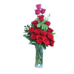 Vase Arrangement of 15 Red Roses