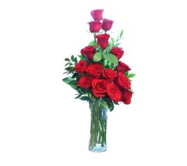 Vase Arrangement of 15 Red Roses