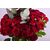 Red Baby Roses in Plam Spring Vase