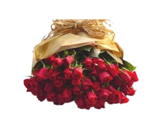 48 Red Rose Gift Wrap