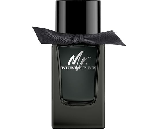 Mr. Burberry by Burberry for Men EDP 100mL