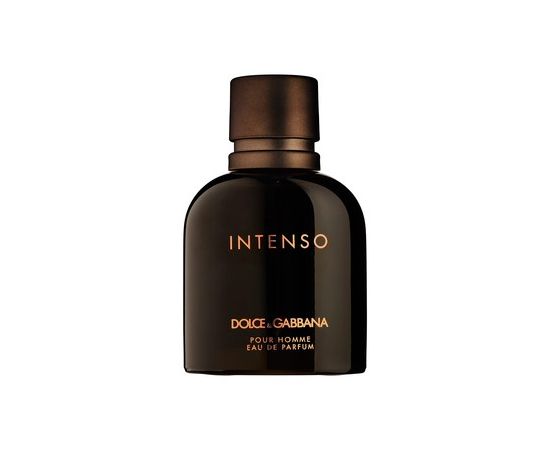Intenso by Dolce & Gabbana for Men EDP 125mL